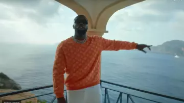 The sweater orange Louis Vuitton worn by Vegedream in her video