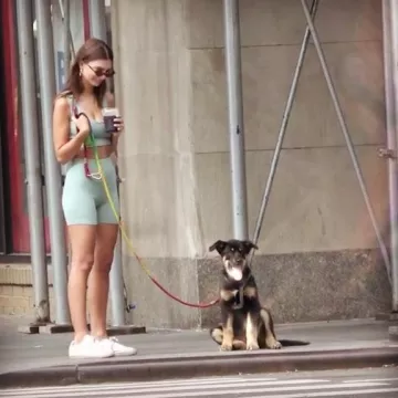 Inamorata Franklin Shorts worn by Emily Ratajkowski Brooklyn July 6, 2019