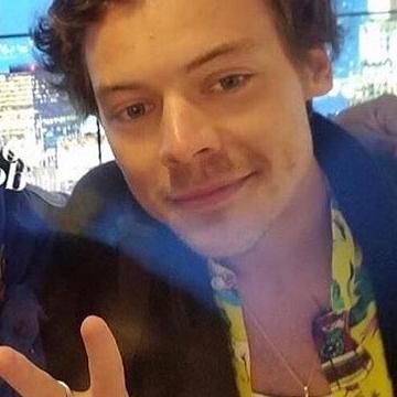 Bode Villiage Scene Shirt worn by Harry Styles With a Fan July 24, 2019