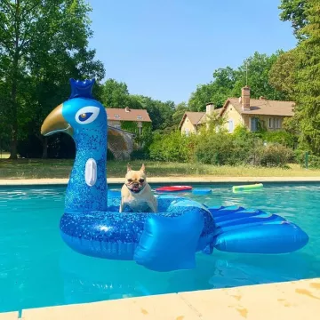 La bouée paon gonflable de Alice Belaïdi sur son compte Instagram @belaidialice