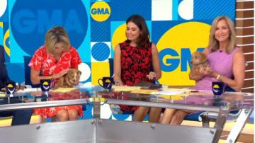 Milly Iris Impression Anna Robe imprimé floral noir /rouge porté par Cecilia Vega, dans Good Morning America le 1er AOÛT 2019