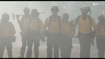 The shirt mustard long sleeves worn by John Carson(John Cena) in PLAYING WITH FIRE 