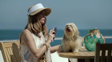 Wet Brush Shine usado por Pamela Brinton (Kristen Wiig) en The Last Man on Earth (Temporada 04 Episodio 02)
