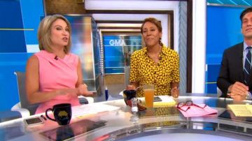 Reiss Marling Robe en Rose porté par Amy Robach sur Good Morning America le 14 AOÛT 2019