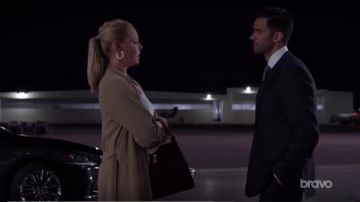 Max Mara Crocodile Effect Tote usado por Samantha Wheeler (Katherine Heigl) en trajes (S09E06)