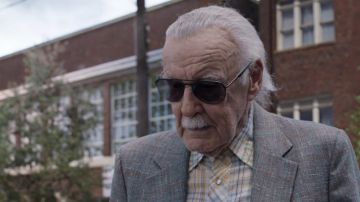 Black aviator sunglasses worn by Shrinking Car Owner (Stan Lee) in Ant-Man and the Wasp