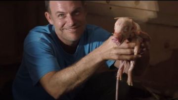 Blue t-shirt worn John Chester in The Biggest Little Farm