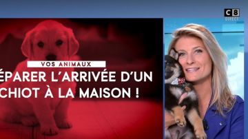 La veste courte suédée esprit biker de Sandrine Arcizet dans William à midi du 06.09.2019