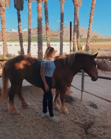 Le t-shirt gris court manches courtes porté par Chloé Jouannet sur le compte Instagram de @jouannetchloe
