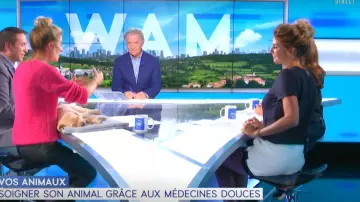 Le Short Avec Détail Contrasté Noir de Caroline Ithurbide dans William à midi