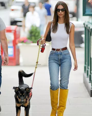 Found my animal adjustable ombre rope dog leash worn by Emily Ratajkowski Walking Her Dog September 16, 2019