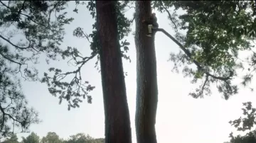 Vans Black Sneakers worn by Dion Warron (Ja'Siah Young) in Raising Dion Season 1