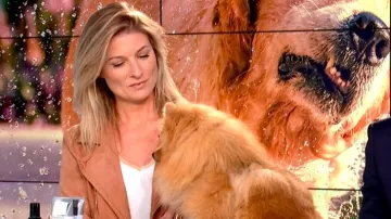 La top à manches courtes et col irisé de Sandrine Arcizet dans William à midi