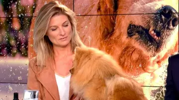 Top de manga corta de Sandrine Arcizet con cuello iridiscente en William à midi