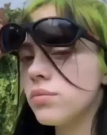 Prada Sunglasses worn by Billie Eilish on her Instagram Story