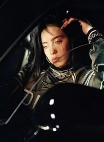 Dior Technical wool Turtleneck sweater worn by Billie Eilish on Instagram picture