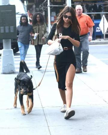 Oliver Peoples Zasia Sunglasses worn by Emily Ratajkowski Walking Her Dog September 18, 2019