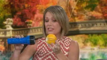 Maternal America Lucy Maternity Dress worn by Dylan Dreyer on Today September 23, 2019