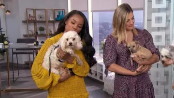 Alexis x Revolve Shaina vestido usado por Devyn Simone en E! Noticias septiembre 26, 2019