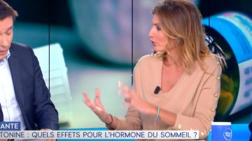 The sweater in cashmere and merino wool beige camel Caroline Ithurbide in William at noon the 10.10.2019