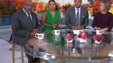 Kendra scott Elle gold drop ear­ring in Aza­lea Il­lu­sion worn by Sheinelle Jones on Today October 10, 2019