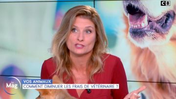 La blouse bordeaux bimatiére col tunisien de Sandrine Arcizet dans William à midi le 11.10.2019