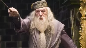 La réplica de la túnica que lleva Dumbledore (Michael Gambon) en Harry Potter y el cáliz de fuego