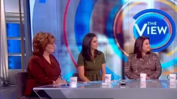 Clara Sunwoo chaqueta de bolsillo de cuero líquido usada por Ana Navarro en The View octubre 18, 2019