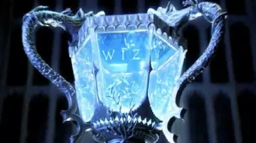 The goblet of fire in Harry Potter and the goblet of fire