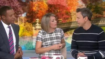 Theory Navy Blue and White Striped Sweater worn by Seth Meyers on Today November 5, 2019