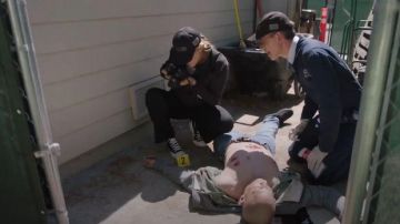 Converse Black Lace Up Sneakers usadas por Ellie Bishop (Emily Wickersham) en NCIS Temporada 17 Episodio 06