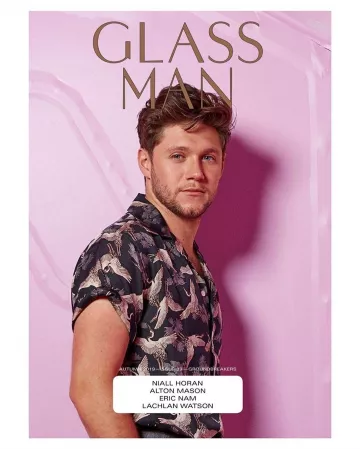 The shirt printed birds of Niall Horan on the account Instagram of @niallhoran