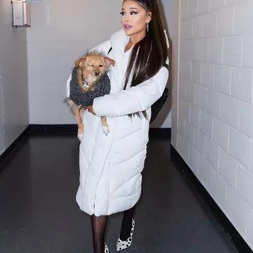 Wilfred The Duvet Coat Long Goose Down Puffer worn by Ariana Grande Charlottesville November 15, 2019
