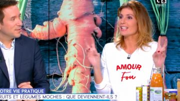 The sweat white "mad Love" by Caroline Ithurbide in William at noon the 19.11.2019