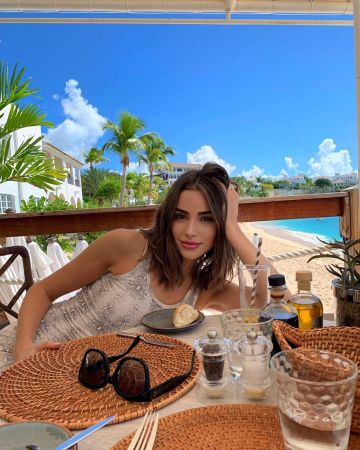Celine New Audrey Cl41805 Sunglasses worn by Olivia Culpo Instagram November 18, 2019