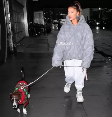 Wild and Wooly Rendezvous Mink Hoop Earrings worn by Ariana Grande New York City November 18, 2019