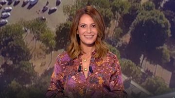 The shirt classic collar smooth printed cocoa Elsa Fayer in the loto Draw the 27.11.2019