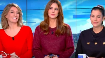 The sweater round neck knit in mohair mixed plum Caroline Munoz in William at noon