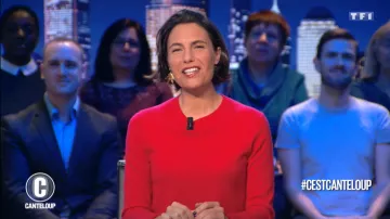 The sweater worn by Alessandra Sublet's in It is Canteloup