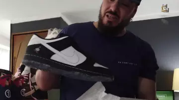 Nike SB Dunk Low Staple Panda Pigeon tonton gibs in I pulled OUT MY ENTIRE COLLECTION OF SNEAKERS ????