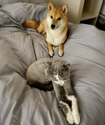 La parure de lit de Squeezie sur son compte Instagram @xsqueezie