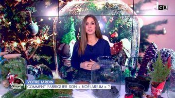 The short plaid Caroline Munoz in William at noon