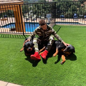 Jordan 4 Retro Flyknit Red LaMelo Ball on the account Instagram of @melo