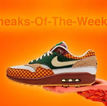 Sneakers Nike Air Max 1 Susan Link on his account Instagram @tonton_gibs 