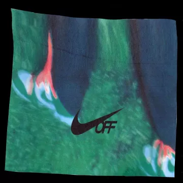 Nike Dunk Low Off-White Pine Green Virgil Abloh on the account Instagram of @virgilabloh