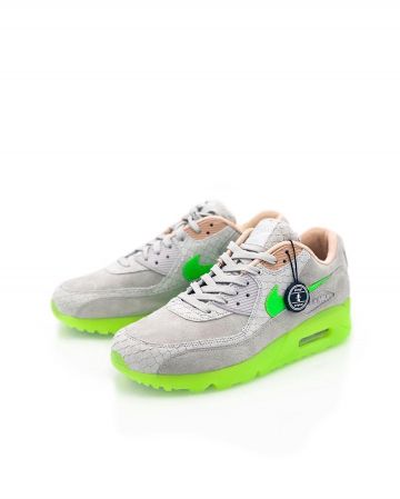 Air Max 90 New Species on the account Instagram of @pluggi_de