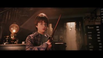Magic wand Harry Potter Harry Potter (Daniel Radcliffe) in Harry Potter and the Chamber of secrets