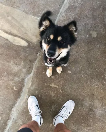 Vans shoes worn by aaron rhodes on the account Instagram of @asos_aaron