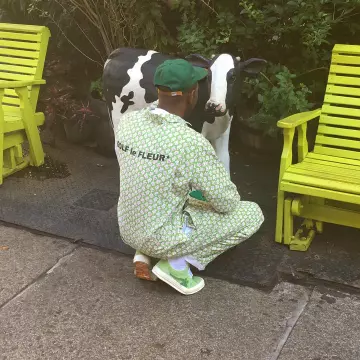 Las zapatillas bajas verdes y blancas con flores que lleva Tyler, The Creator en la cuenta de Instagram de @feliciathegoat