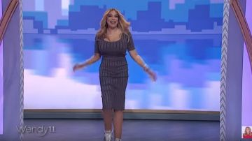  T by alexander wang Métallique Jupe portée par Wendy Williams sur Le Wendy Williams Show le 19 décembre 2019